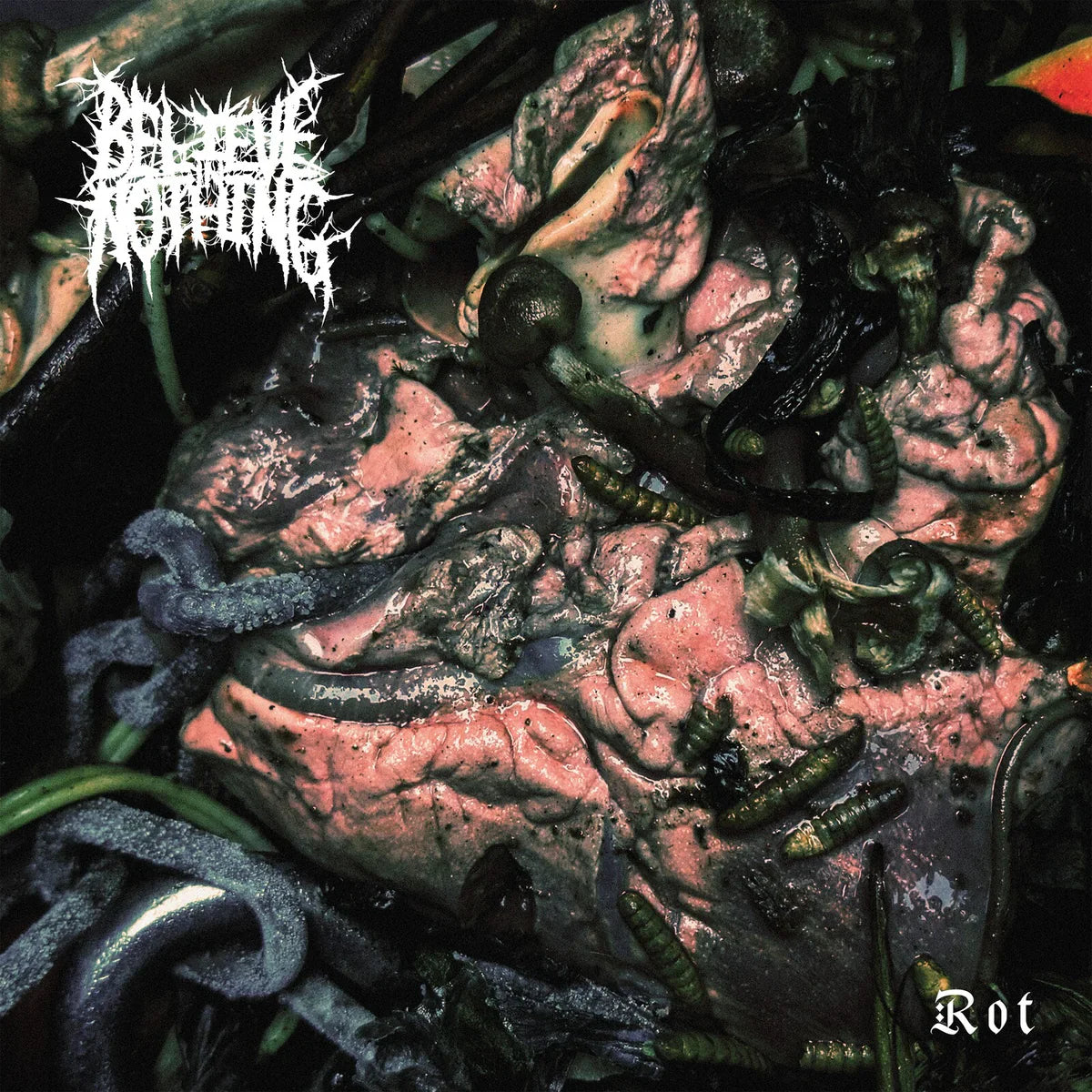 Believe In Nothing "Rot" CD