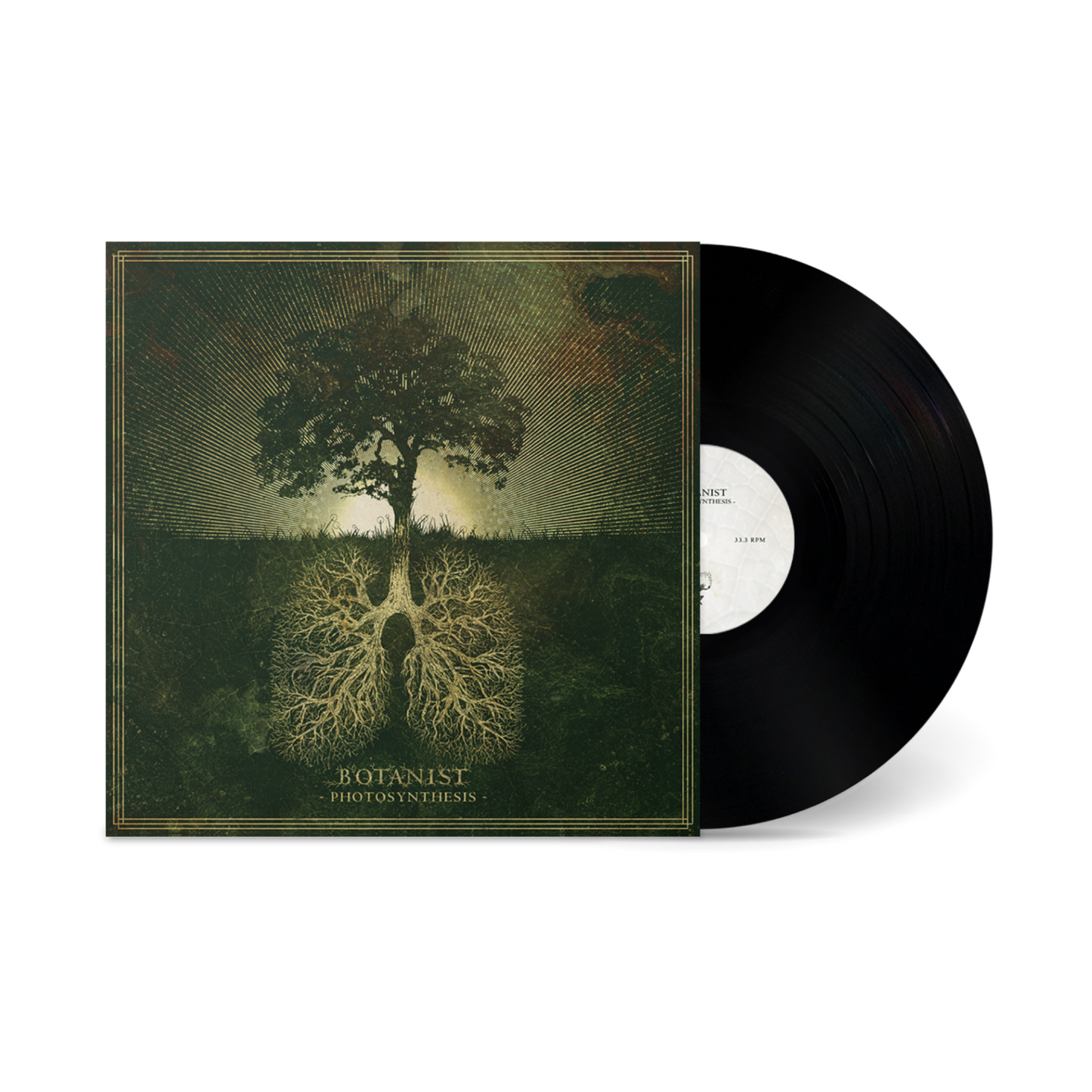 Botanist "Photosynthesis" LP