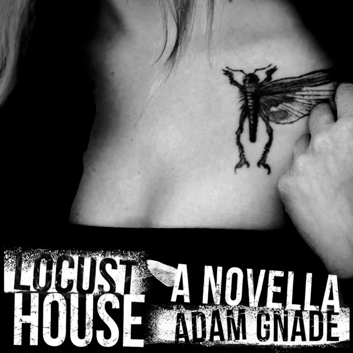 Adam Gnade "Locust House" Book