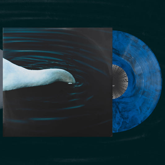 Sure "Destruction Of Form" LP