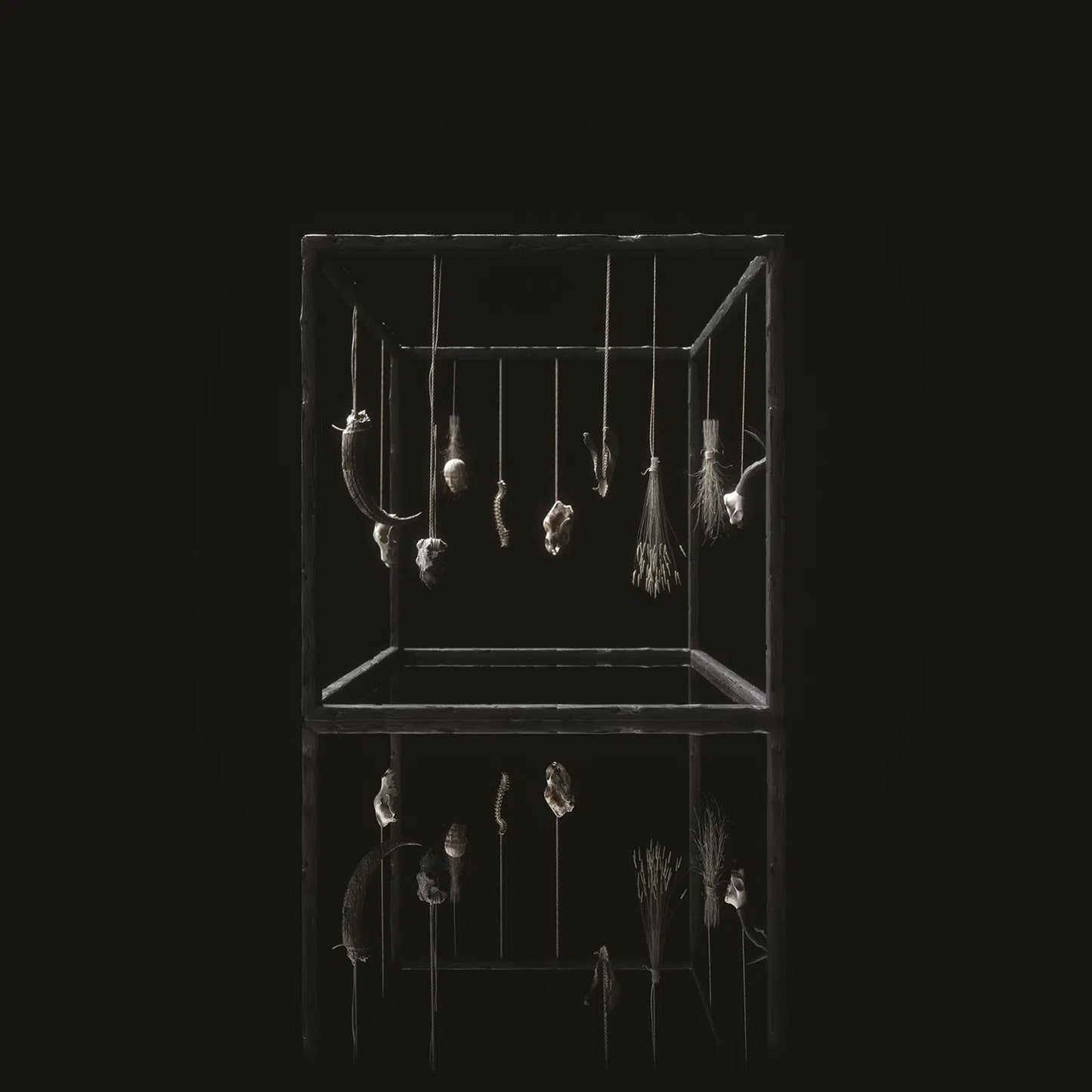 Treha Sektori "Rejet" LP