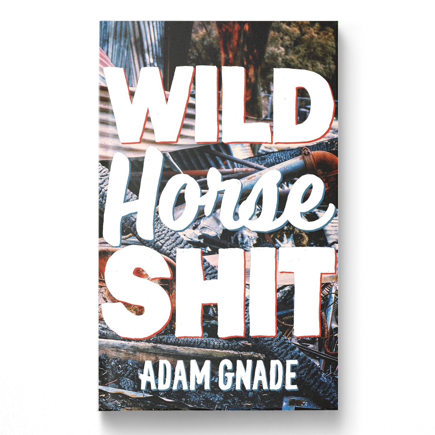 Adam Gnade "Wild Horse Shit" Book