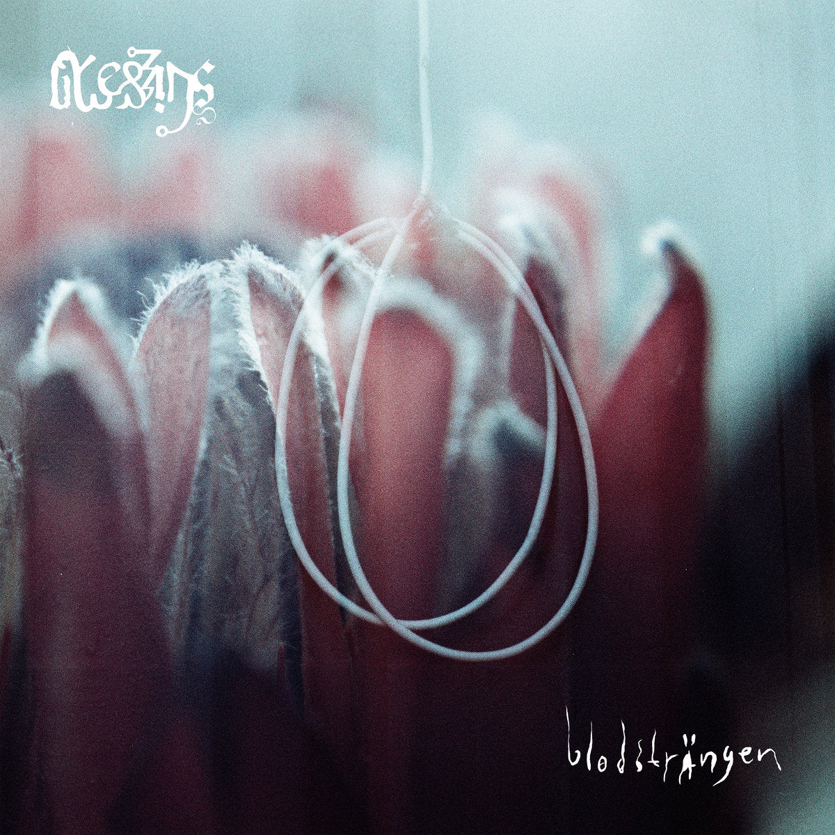 Blessings "Blodsträngen" LP