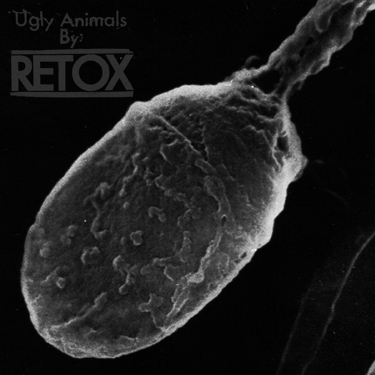 Retox "Ugly Animals" CS