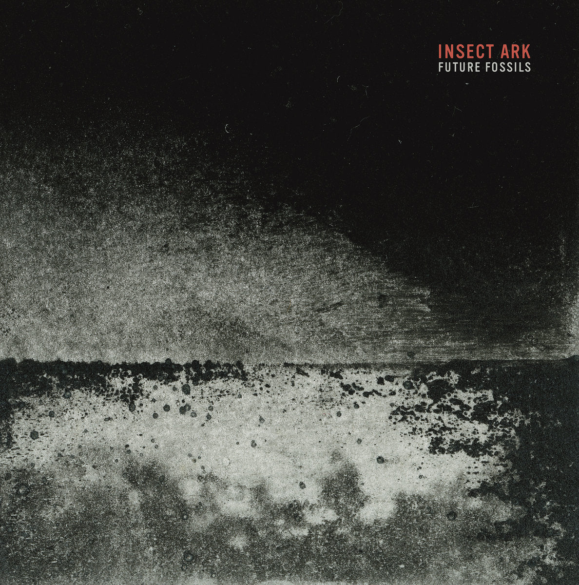Insect Ark "Future Fossils" LP