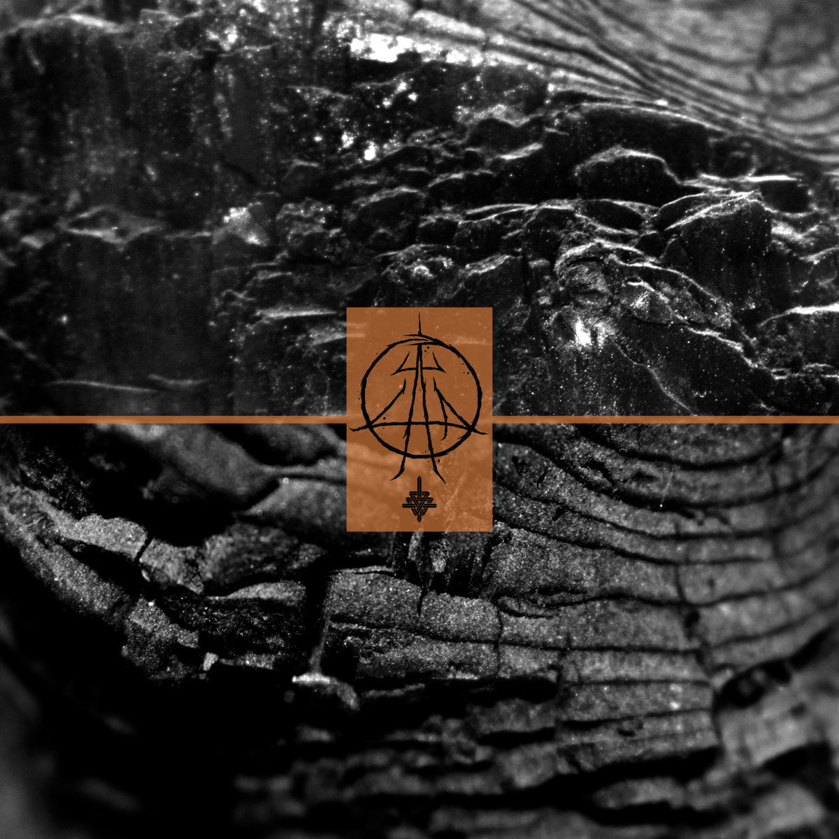 Anguine "MMXXI / MMXXI²" LP