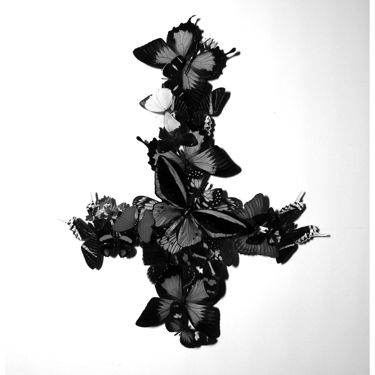 Monarch "Never Forever" 2xLP