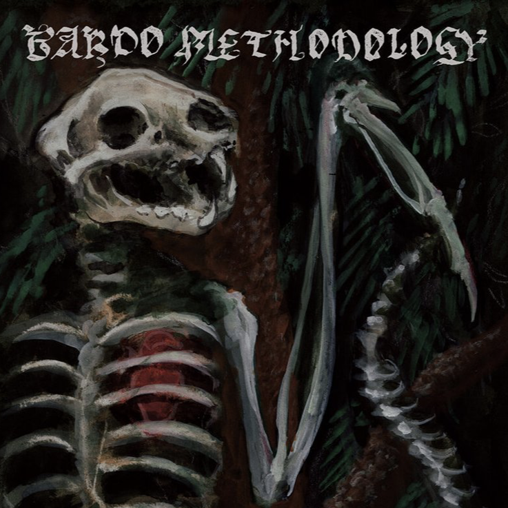 Bardo Methodology #4