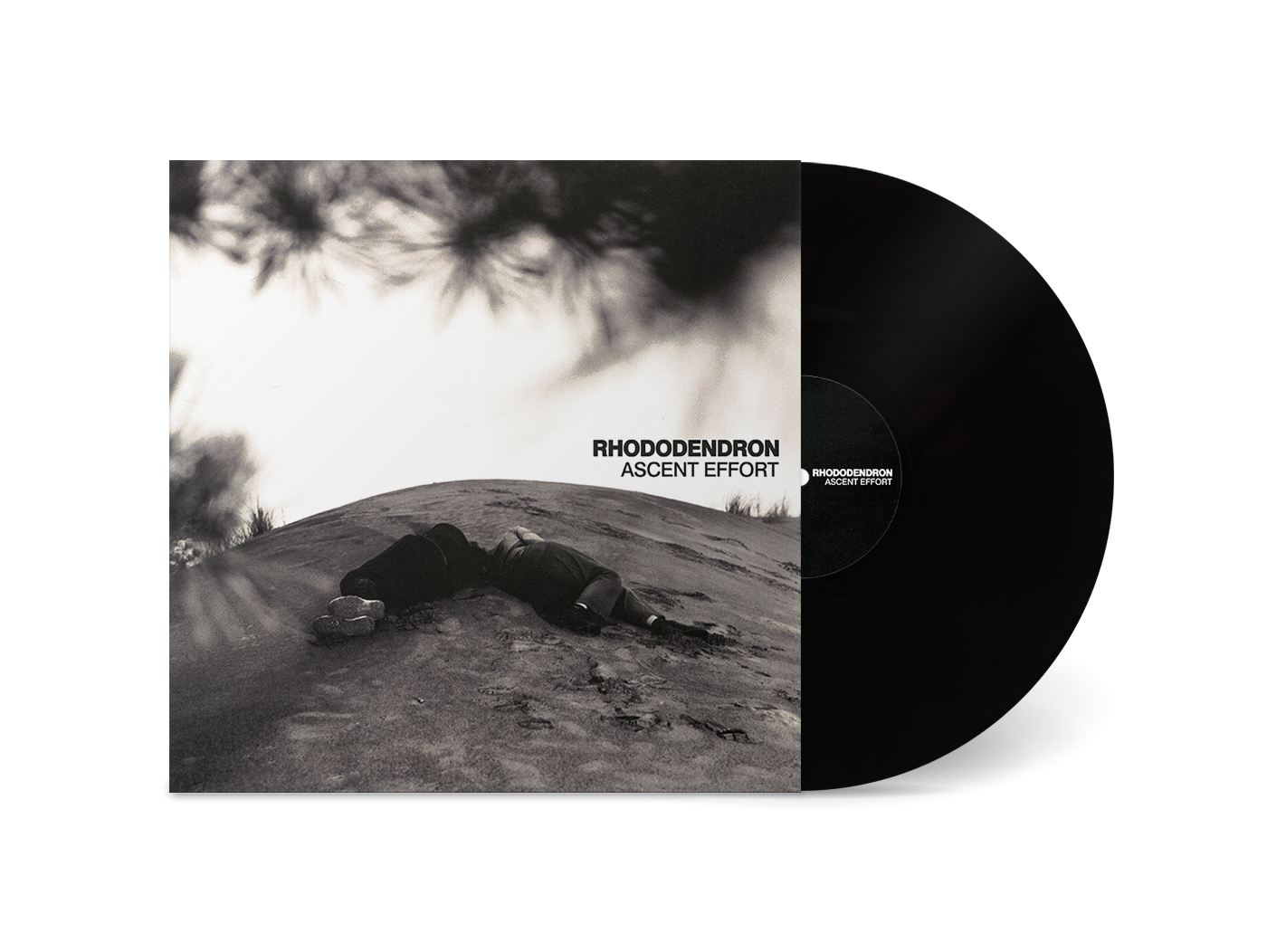 Rhododendron "Ascent Effort" LP