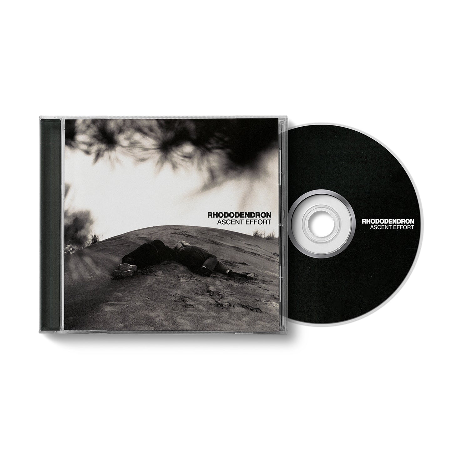 Rhododendron "Ascent Effort" CD