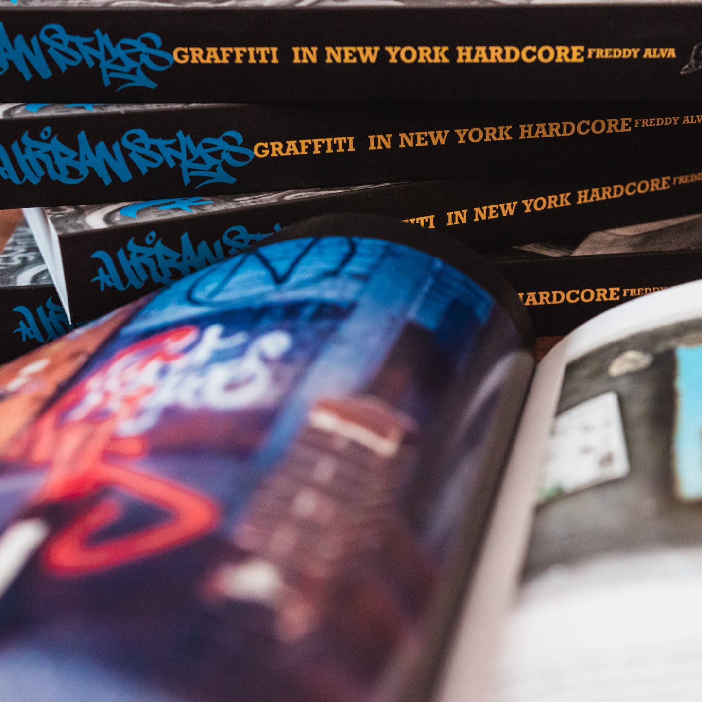 Urban Styles - Graffiti In New York Hardcore by Freddy Alva