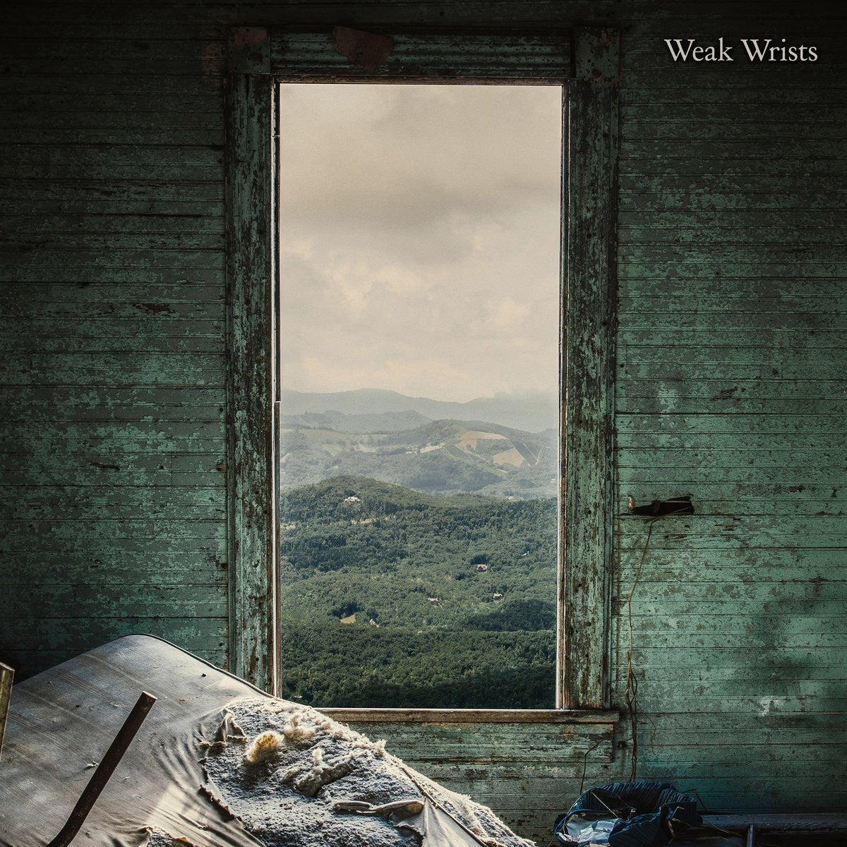 WEAK WRISTS "Self-Titled"-Halo Of Flies-Deathwish Inc Europe