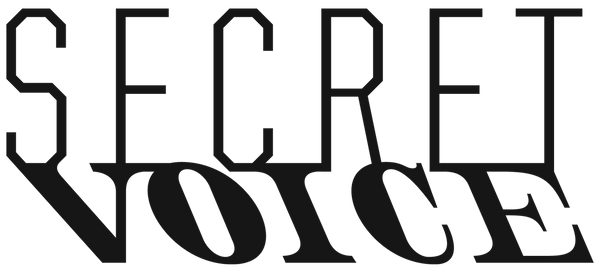Secret Voice