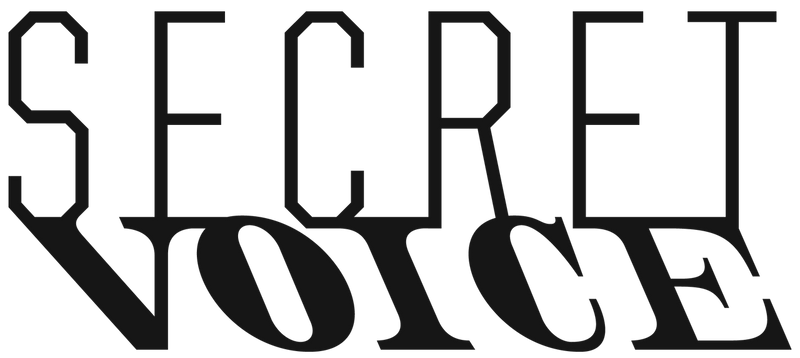 Secret Voice