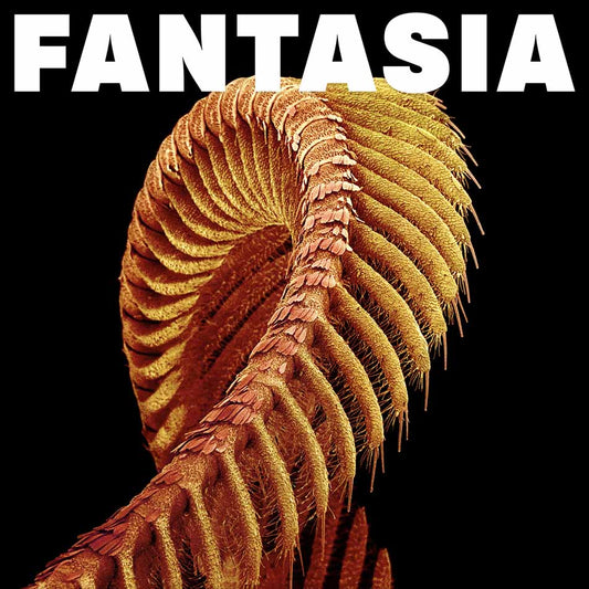 Slift "Fantasia" 2xLP