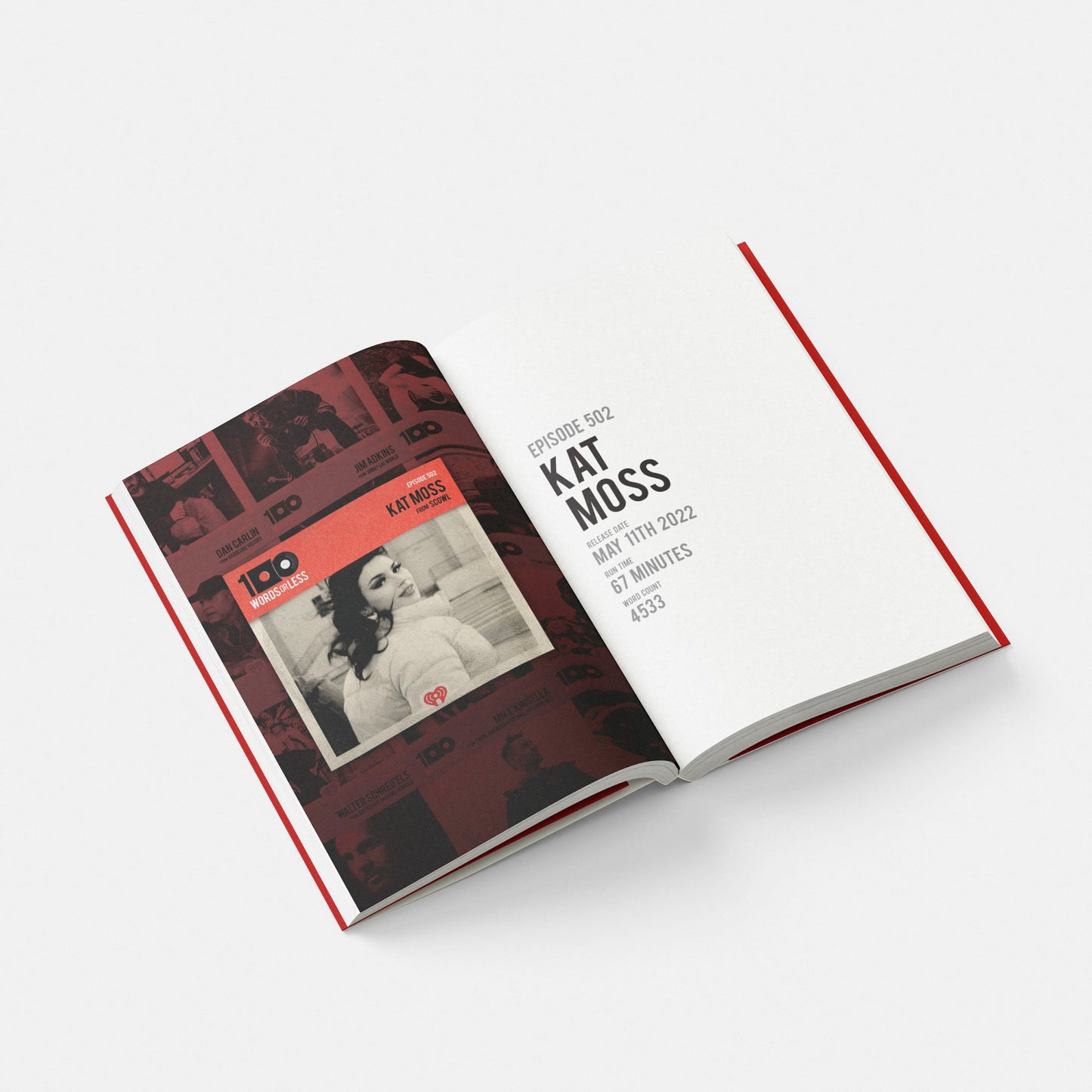 "100 WORDS OR LESS: Interviews from Independent Culture" by Ray Harkins