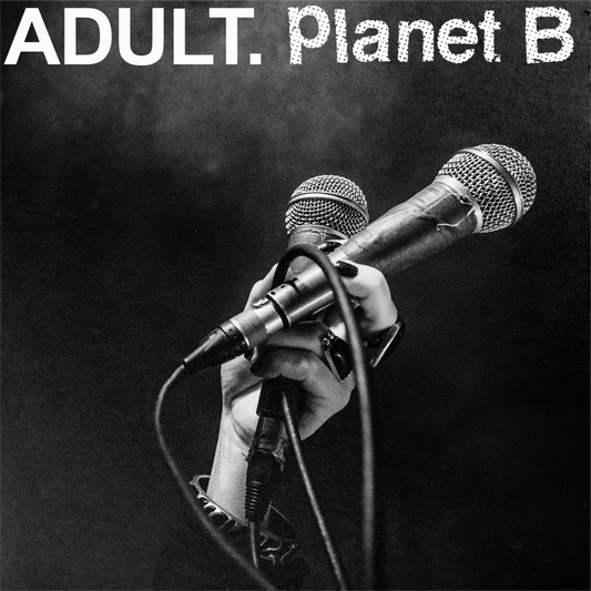 ADULT. & Planet B "Glass in the Trash b/w Release Me" 7"EP