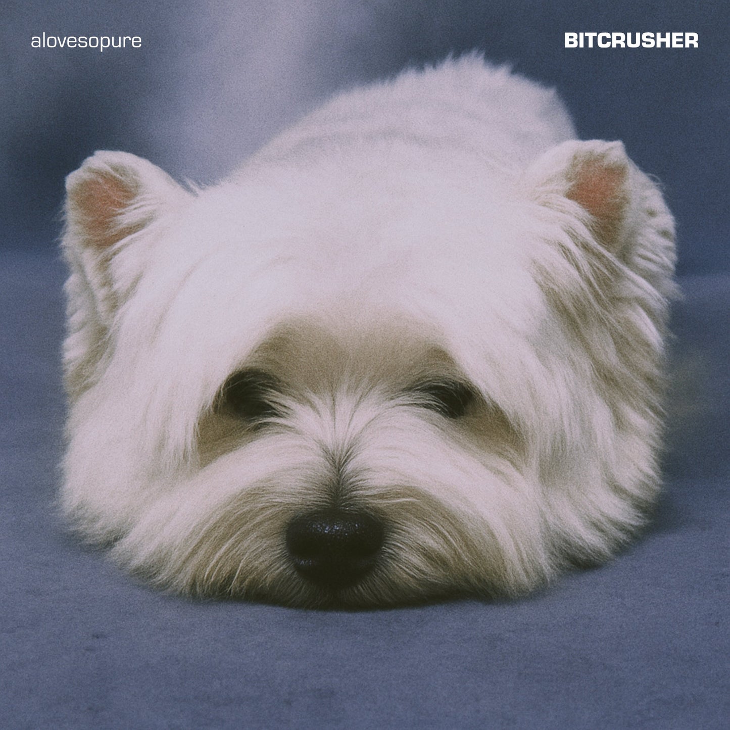 Alovesopure "BITCRUSHER" LP