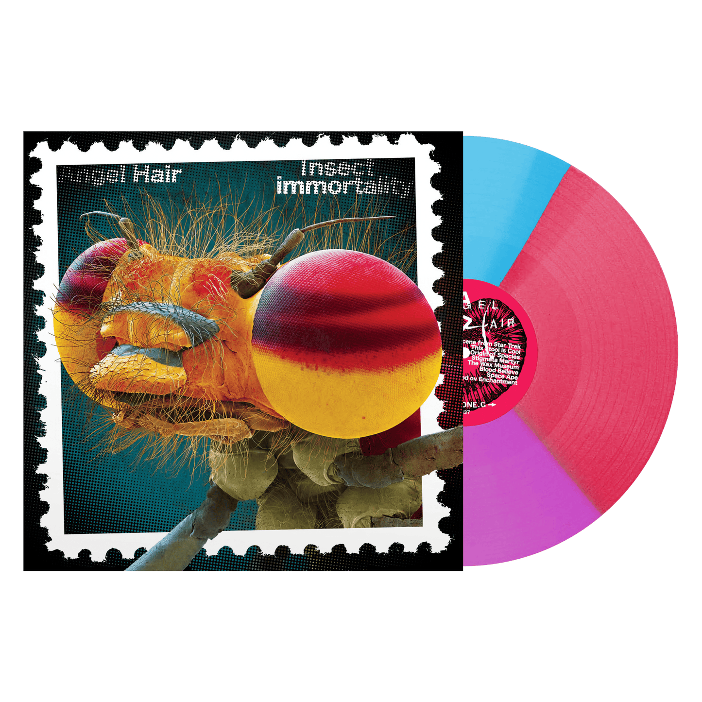 Angel Hair "Insect Immortality" LP