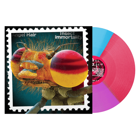 Angel Hair "Insect Immortality" LP