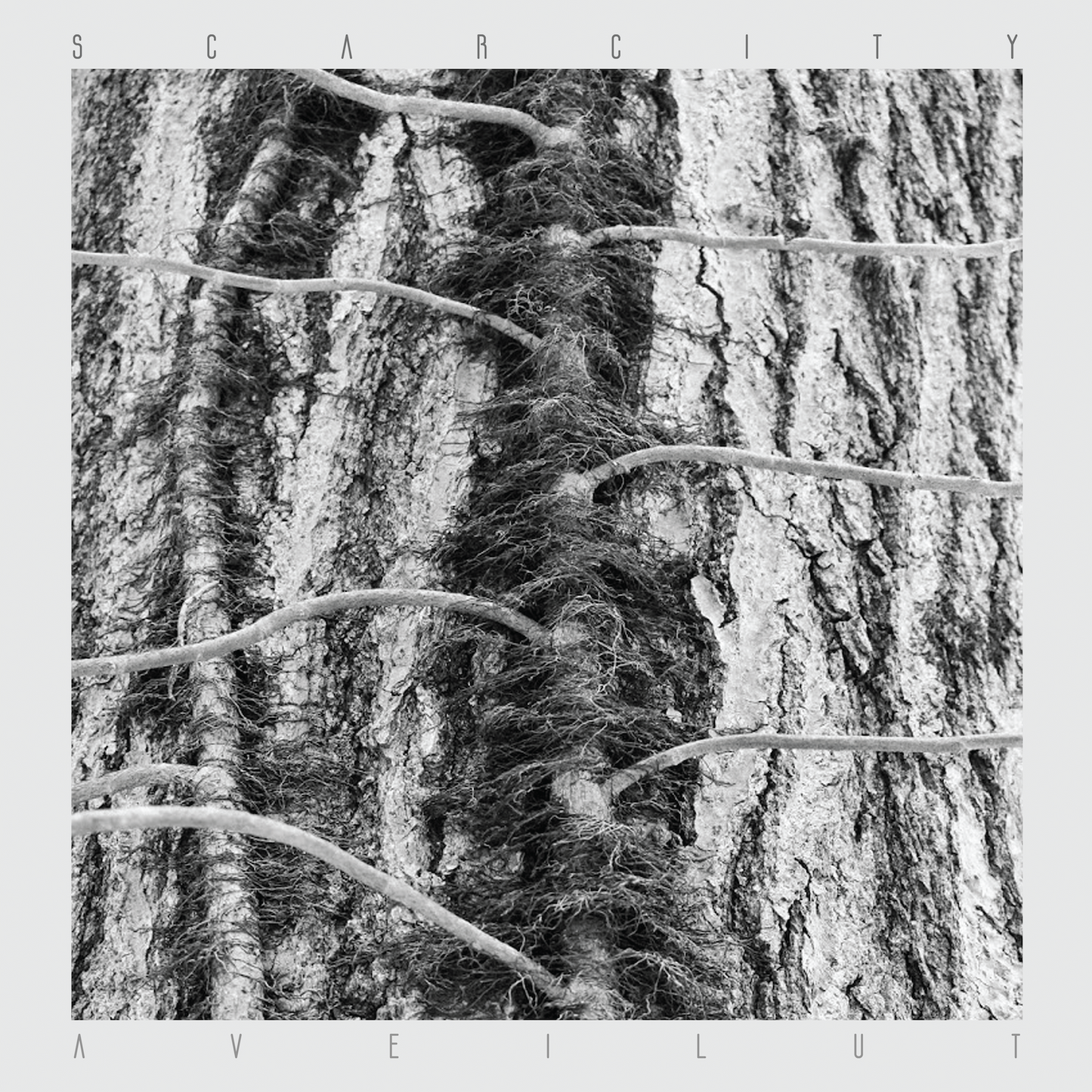 Scarcity "Aveilut" LP