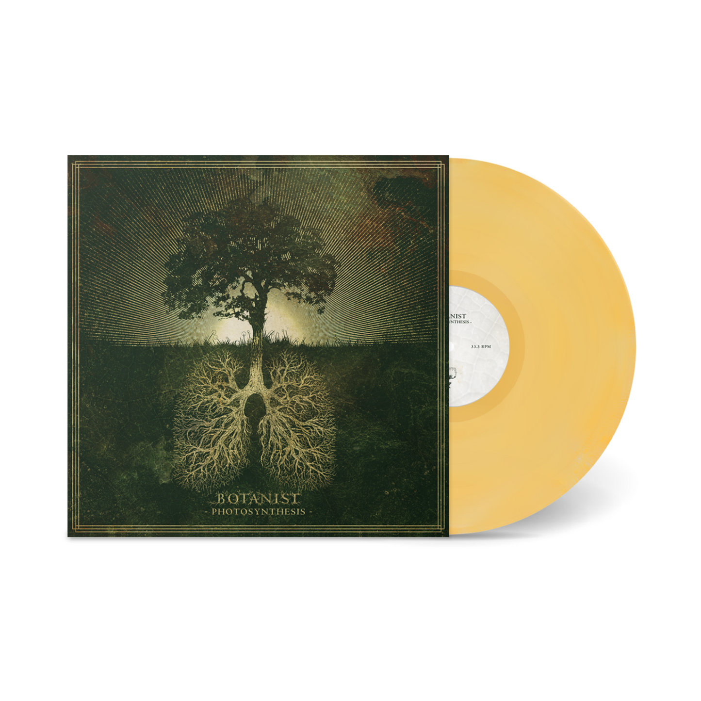 Botanist "Photosynthesis" LP