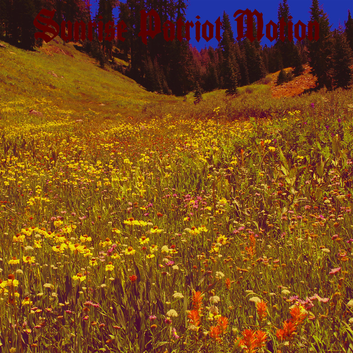 Sunrise Patriot Motion "Black Fellflower Stream" LP