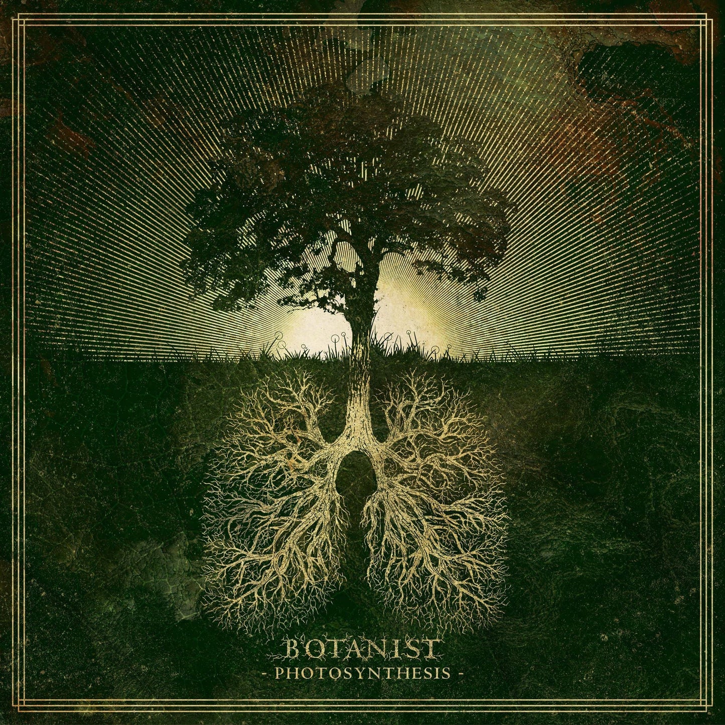 Botanist "Photosynthesis" CD
