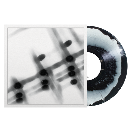 Gregor Samsa "40:13.5" LP