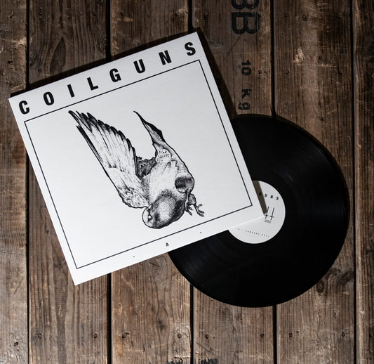Coilguns "EP 2011-2012" 12"EP