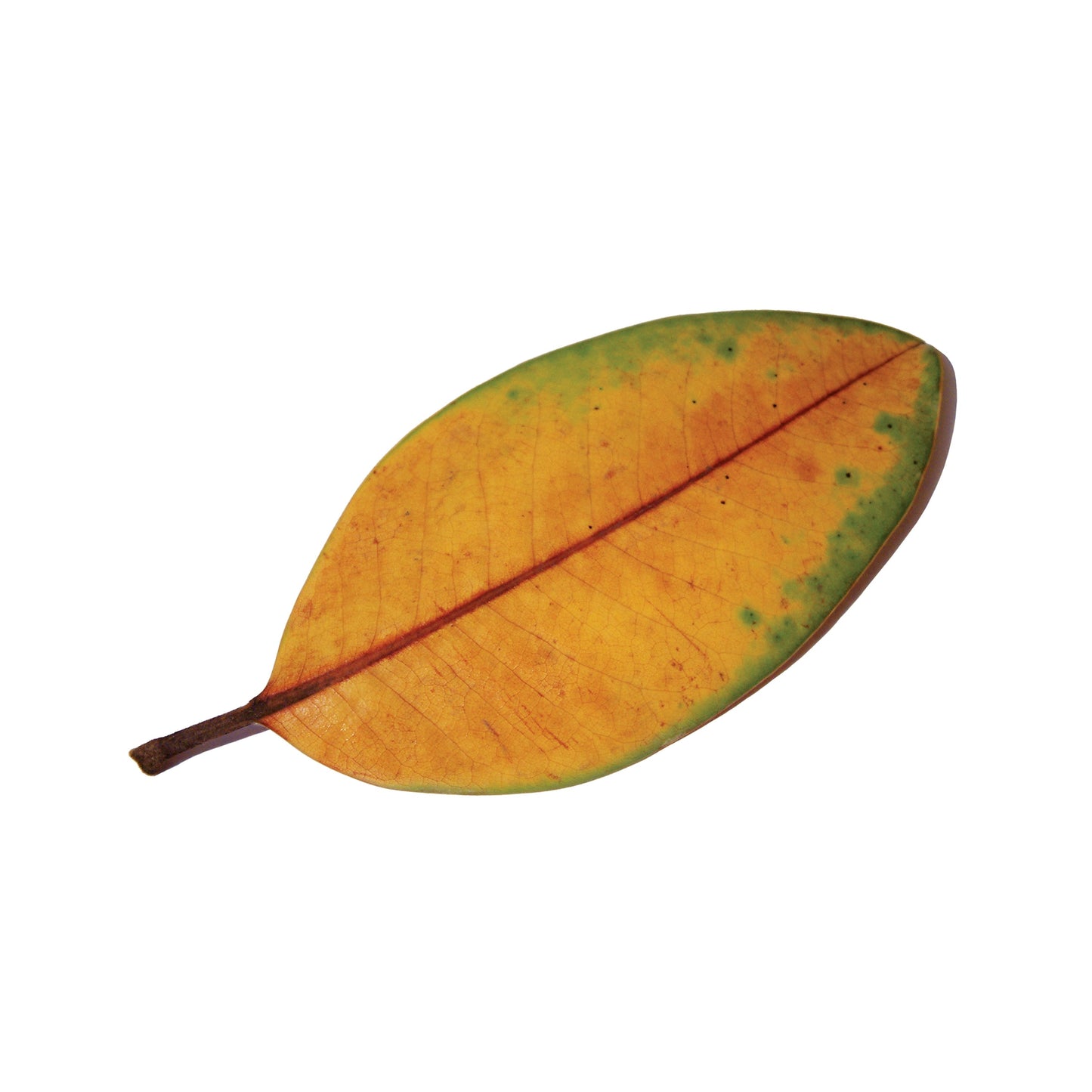 La Quiete "La Fine Non è La Fine" CD