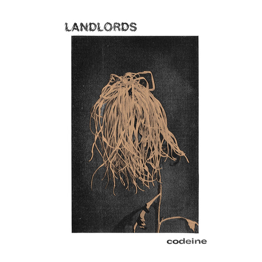 Landlords "Codeine" CD