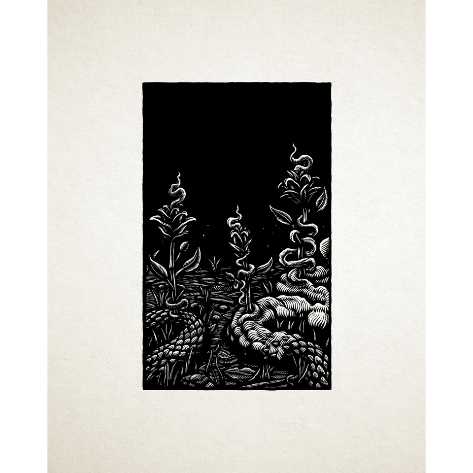 Steve Von Till "Harvestman" 6 Art Prints