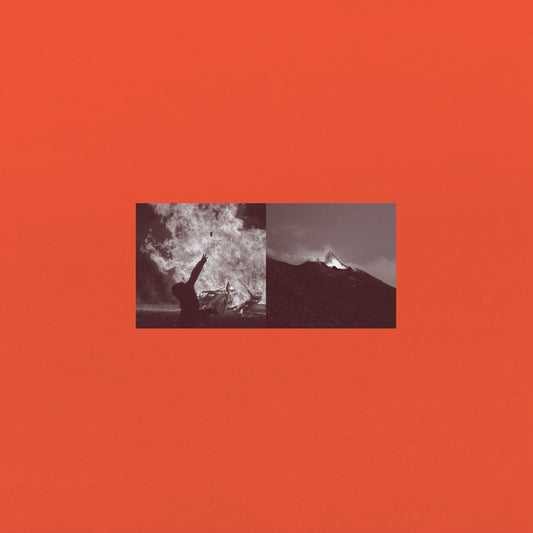 Raein "A Collection of Splits and EPs 2004 - 2015" LP