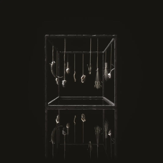 Treha Sektori "Rejet" LP