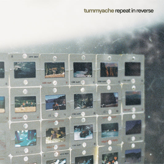Tummyache "Repeat in Reverse" LP