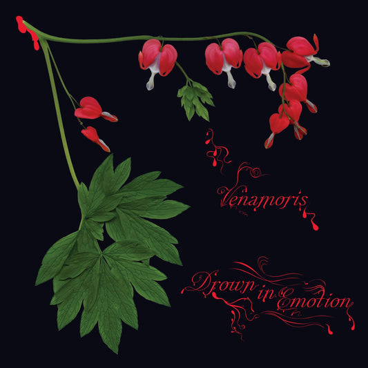 Venamoris "Venamoris" LP