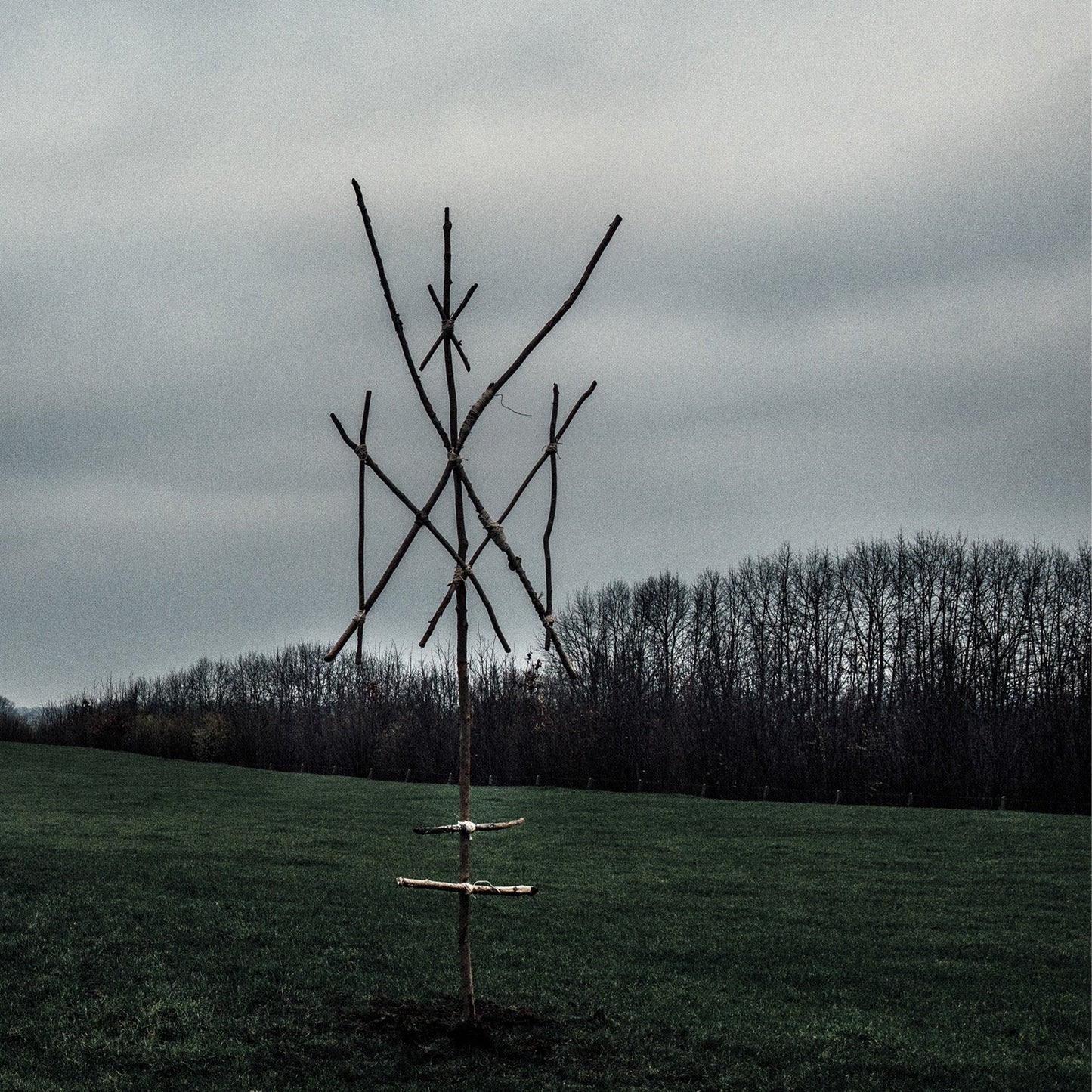 Wiegedood "De Doden Hebben Het Goed III" LP