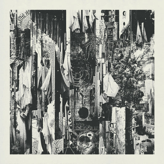 Wren "Black Rain Falls" CD