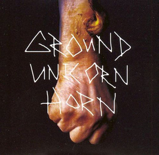 Ground Unicorn Horn “Damn I wish I was Fat b/w Someone Better Suck This Thing" CD