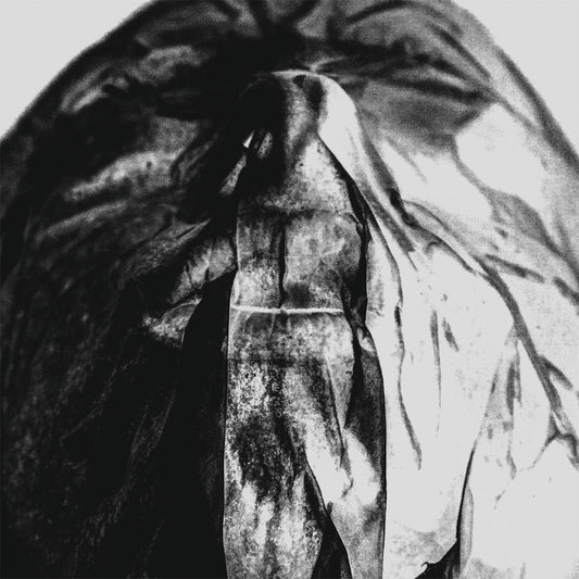 Hørd "Parallels" LP