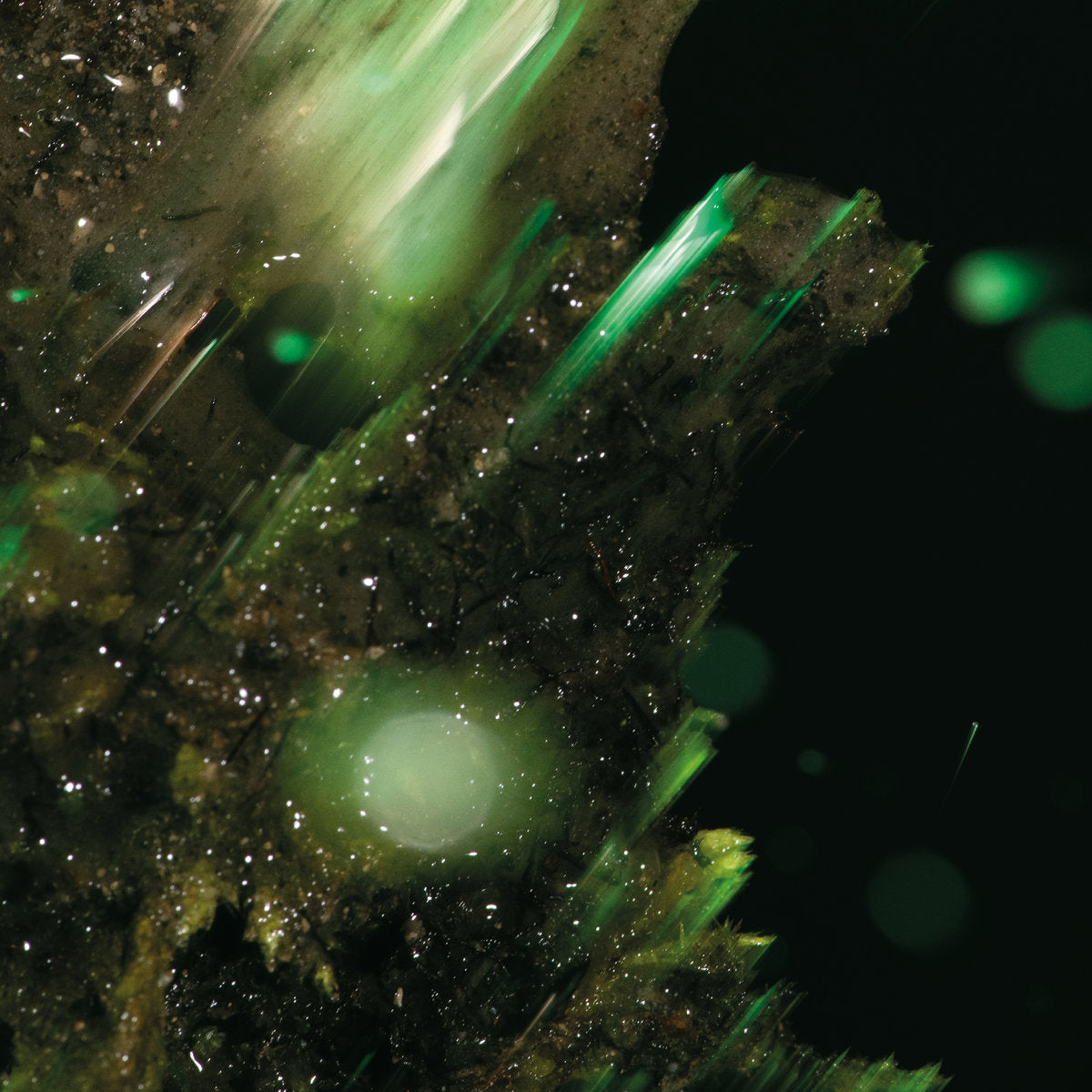 Abraham "Idsungwüssä" 2xLP