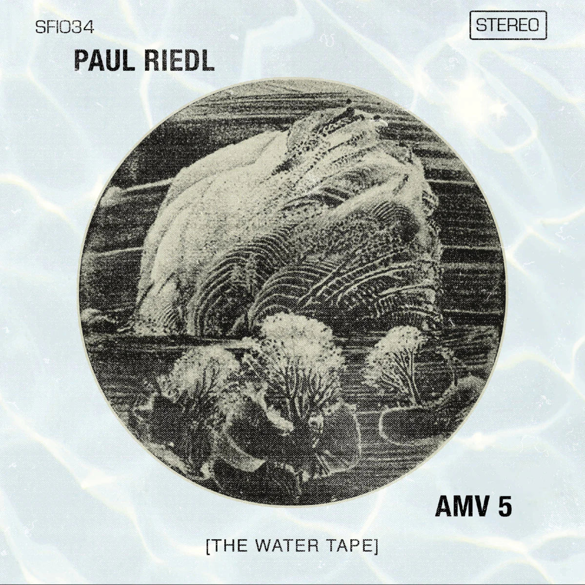 Paul Riedl "Ambient Mixtape Vol. 5 [The Water Tape]" 2xLP