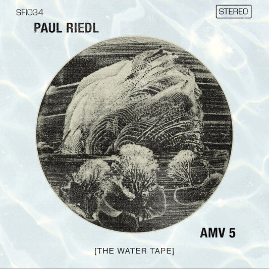 Paul Riedl "Ambient Mixtape Vol. 5 [The Water Tape]" 2xLP