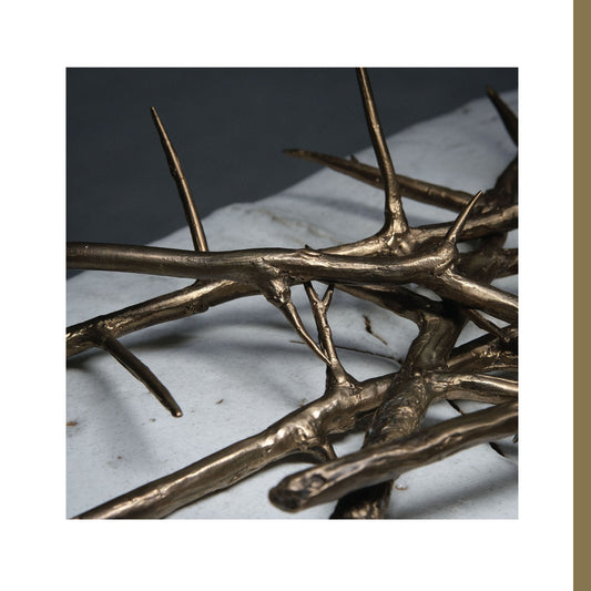 Amenra "De Doorn" (Alternate Mix) 2xLP