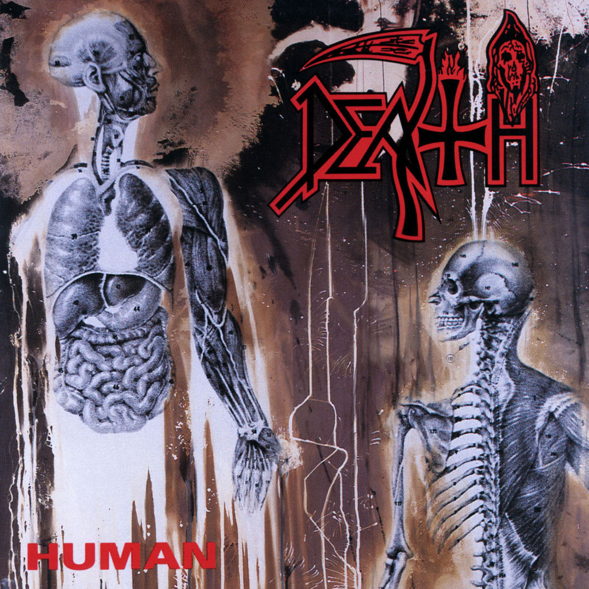 Death "Human" (Reissue) LP