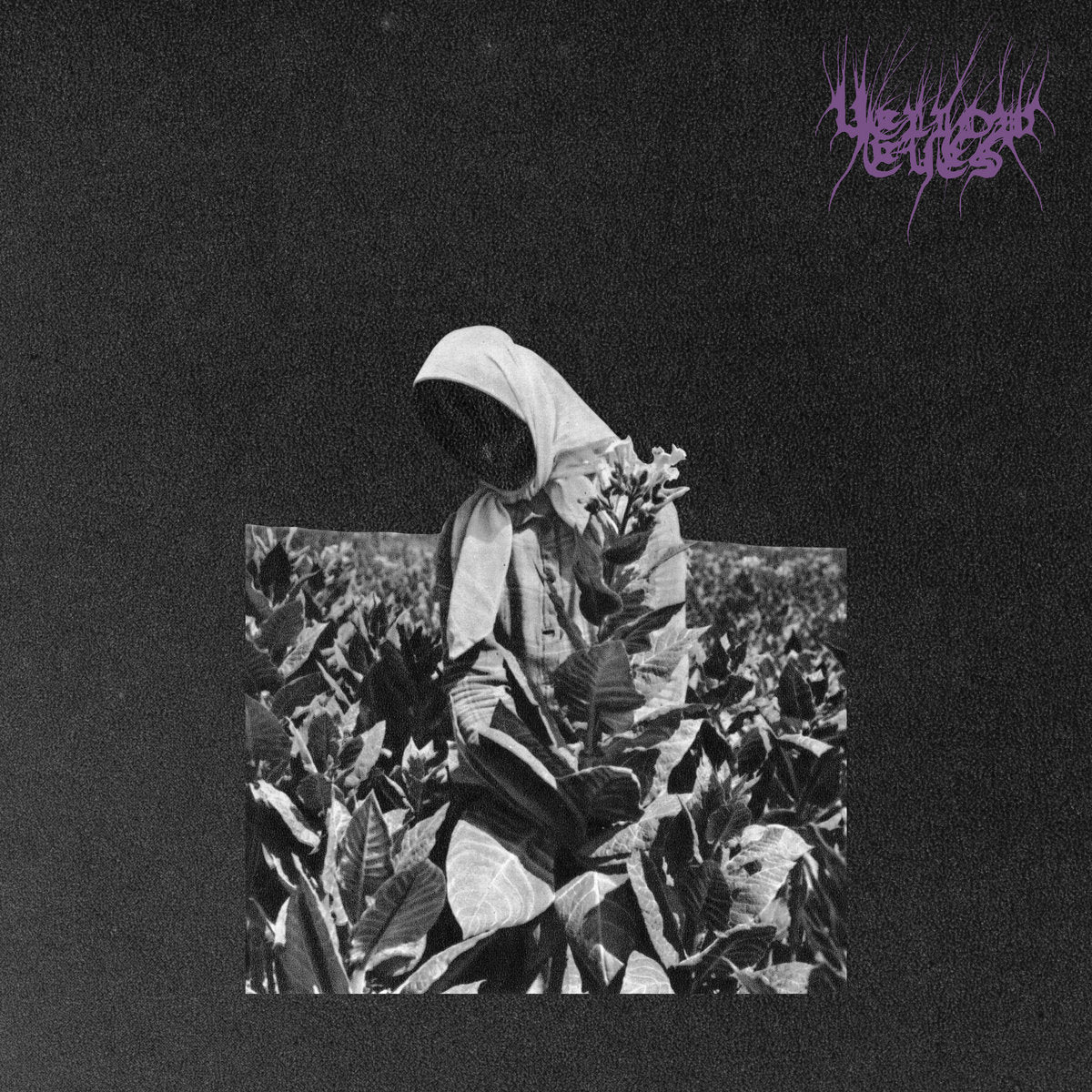Yellow Eyes "Master's Murmur" LP