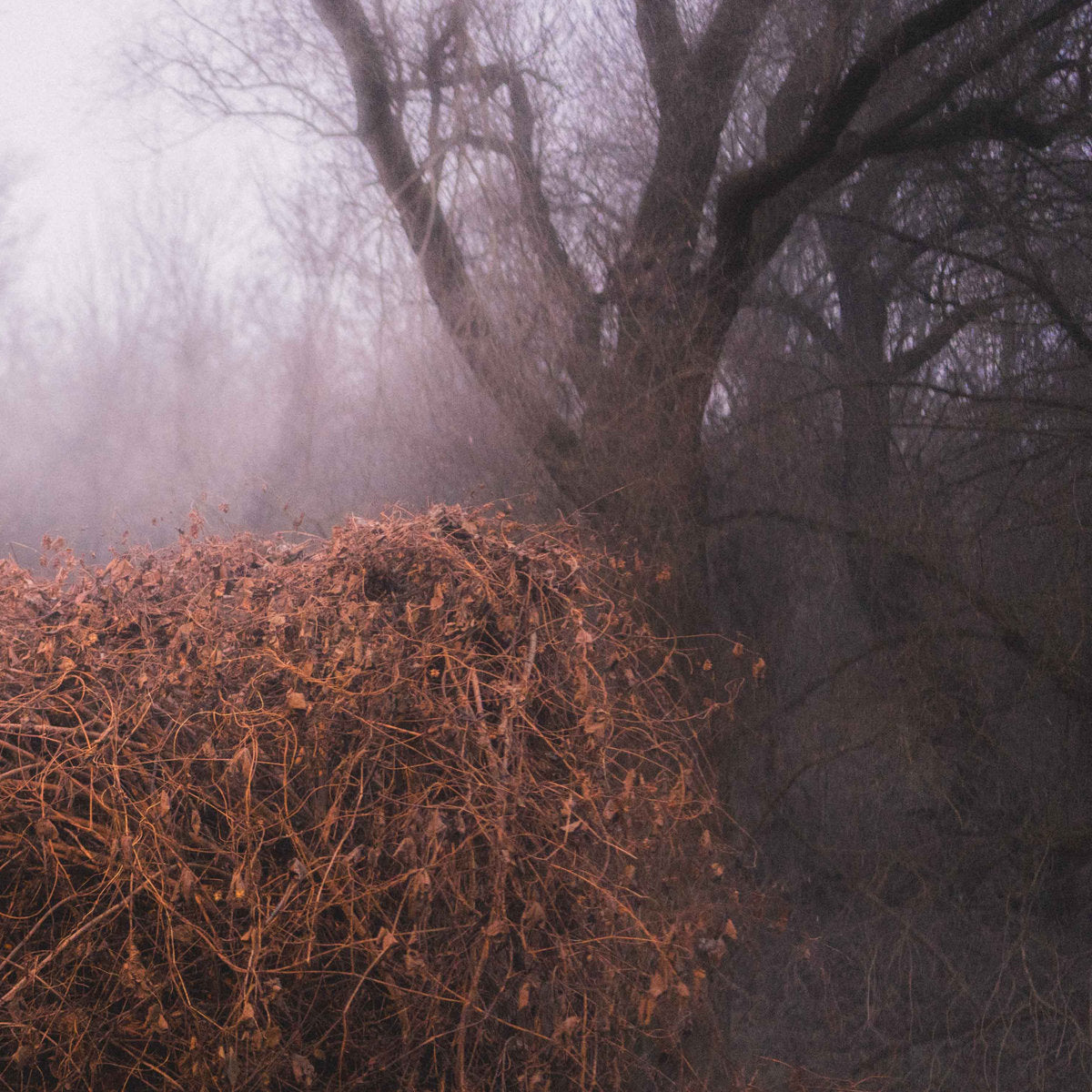 The Devil's Trade "Nincs Szennyezetlen Szép" LP