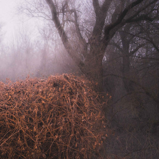 The Devil's Trade "Nincs Szennyezetlen Szép" LP