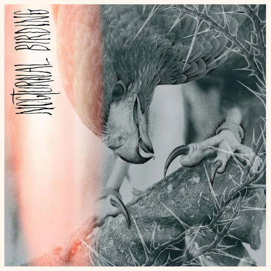 Author & Punisher "Nocturnal Birding" CD